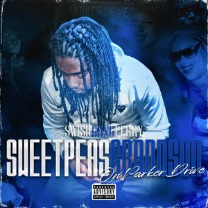 LIL ROCKSTAR (Explicit)