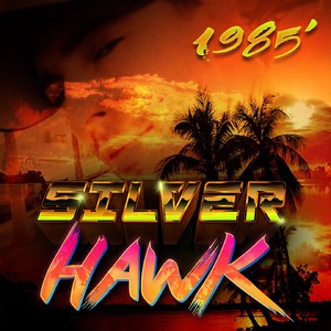 Silverhawk - Night Business (Alternate Mix)