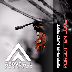 Forgotten Love (Stephane Badey Remix)