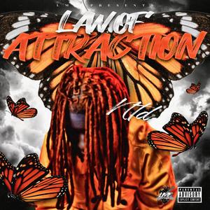 Law Of Attraction (Explicit)