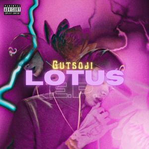 We Stay High & Stay Fly