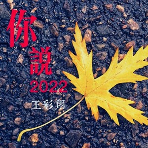 你说2022