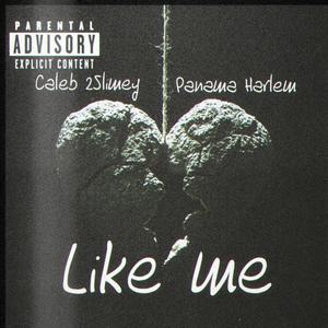 Like Me (feat. Panama Harlem) (Explicit)