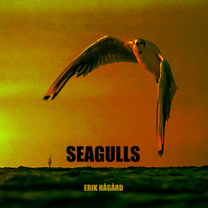 Seagulls