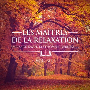 Les maîtres de la relaxation, Vol. 3 (Mozart, Beethoven, Bach, Tchaïkovski, Satie et Debussy)