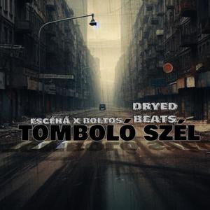 Tomboló szél (feat. Escéhá & Boltos) (Explicit)