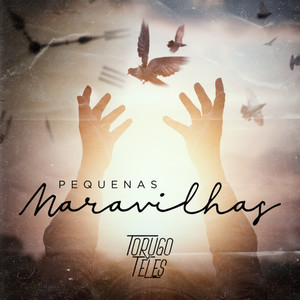 Pequenas Maravilhas