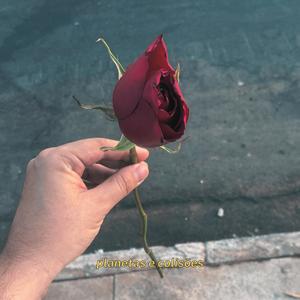 planetas e colisões (Explicit)