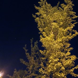 再一个世纪·20爱你