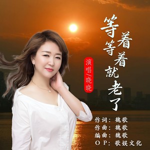 等着等着就老了封面