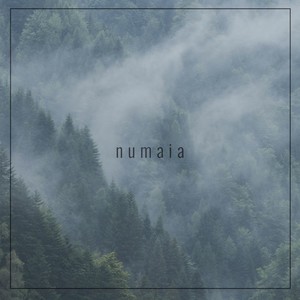numaia