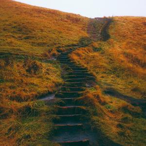 Dungeons and Dragons (S. Carey Remix)