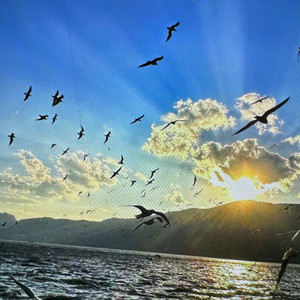 云深的微风梦黑