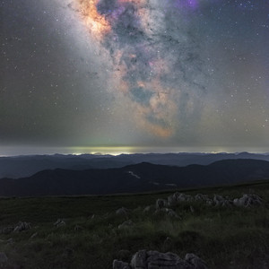 世界那边的森林