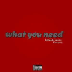 What you need (feat. Lildave21) [Explicit]