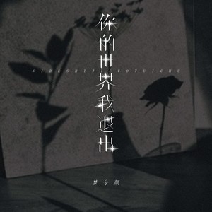 杨顺高 - 你的世界我退出 (女版)