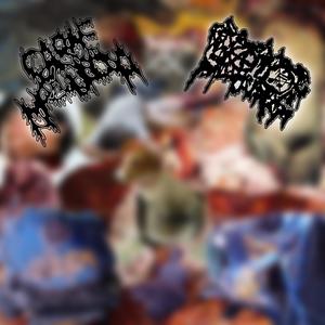 Parásitos Come-Cerebros (Explicit)