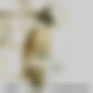 Sonik Rankor market (20 Year Anniversary Version)