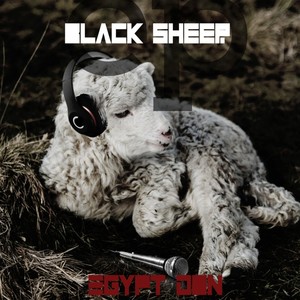 BlackSheep