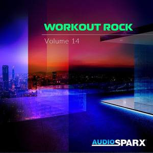 Workout Rock Volume 14