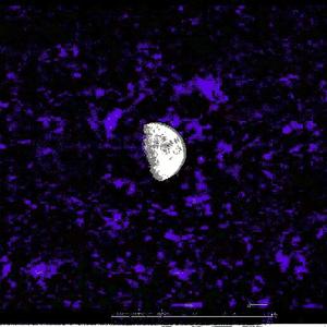 Todo el tiempo (feat. Días de Abril)