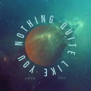 Nothing Quite Like You (feat. Tau)