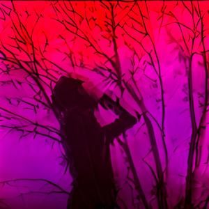 OH REALLY 2 (Explicit)