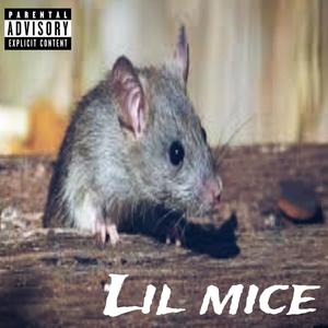 Lil mice (Explicit)