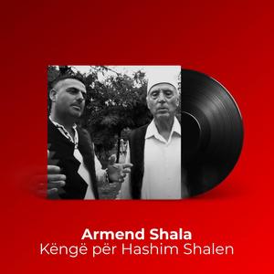 Këngë për Hashim Shalen