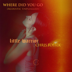 Where Did You Go (Acoustic Unplugged)