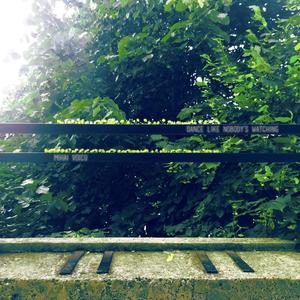 Dance Like Nobody's Watching