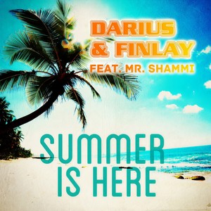 Summer Is Here (Bacefook Remix Edit)