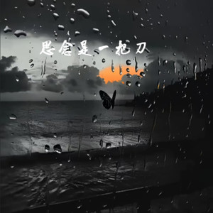 思念是一把刀 (破碎版)