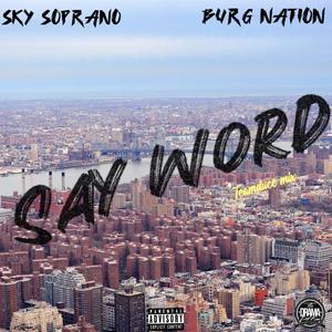 SAY WORD (feat. PLAYBOY BURG) (T2 MIX|Explicit)