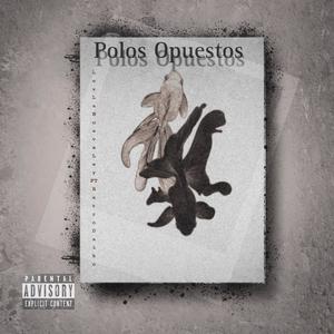 Polos Opuestos (feat. Retro Daiko) (Explicit)