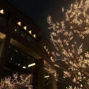 Stargazing (feat. oak.) (slowed + reverb)