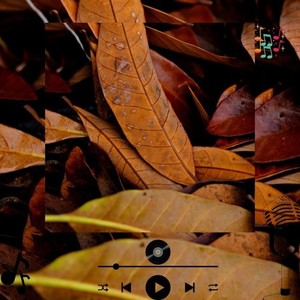 Tylzak Drevol (Original Mix)