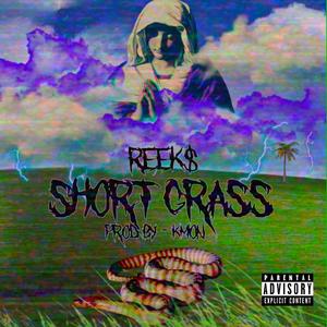 Short grass (Explicit)