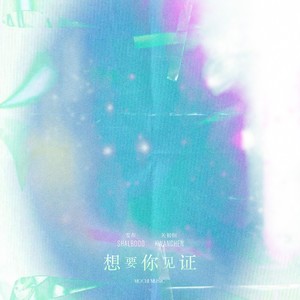 想要你见证 (伴奏)