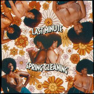 Last Minute Spring Cleaning (feat. DRU) (Explicit)