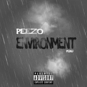 Environment (Explicit)