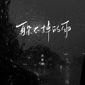 躲不掉的雨 (校园广播版) - 苏星婕封面