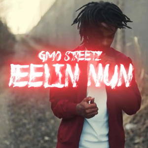 Feelin Nun (feat. GMO Streetz) [Explicit]