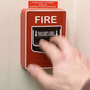 Truly An Honor (Explicit)