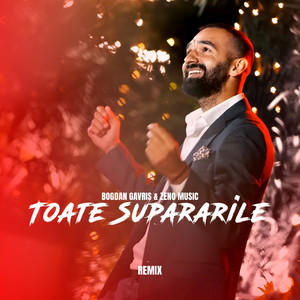 Toate Supararile (Remix)