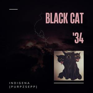 Black Cat '34 (Explicit)