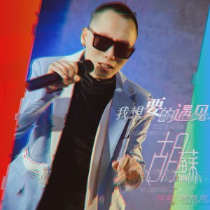 我想要的遇见 (Live)