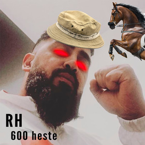 600 Heste