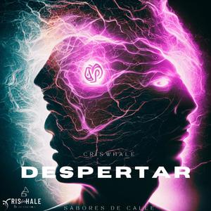 Sabores De Calle (Explicit)