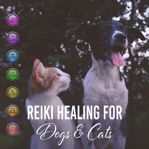 Reiki Healing for Dogs & Cats: Soothing Energy, Relaxing Music for Pets